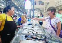CLEAN, MODERN & ORGANIZED: Ilonggos hail impressive market makeover Felly Cabrillos (right), a long-time market patron, said shopping has become “comfortable and enjoyable” after decades of enduring the old setup: “Nami ang Central Market subong kay tam-an ka limpyo, tanan arranged by section. Kun diri sa dalom isdaan, isdaan ka lang. Sa pihak ang karne kag poultry. Lain gid sa ya kaysa sa iba nga market.”