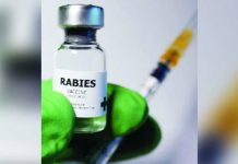 11 towns lead anti-rabies drive to push for rabies-free Iloilo by 2030 Data from the Department of Health shows that there have been 260 cases of rabies recorded in the country from January to Sept. 20 this year.