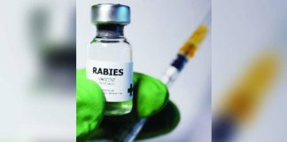 Data from the Department of Health shows that there have been 260 cases of rabies recorded in the country from January to Sept. 20 this year.