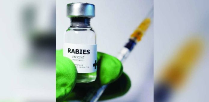 FDA warns_superimposed_compressed Data from the Department of Health shows that there have been 260 cases of rabies recorded in the country from January to Sept. 20 this year.