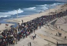 Gaza Strip ceasefire comes into force Hundreds of Palestinians made their way up to the north of the Gaza Strip on foot. GETTY IMAGES