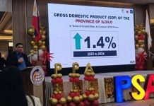 Agriculture slump drags Iloilo Province’s economy despite industry, service gains Philippine Statistics Authority (PSA) Iloilo Supervising Statistical Specialist Jerry Dolutan presents the province’s economic performance during the 2024 Provincial Product Accounts dissemination forum on Oct. 7. Data showed Iloilo’s economy expanding by 1.4 percent in 2024 — its slowest growth in recent years — largely due to the steep decline in the agriculture sector. PNA