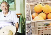 Farmer Alfonso Namuje, Jr. is known as the “Father of Citrus” in Nueva Vizcaya.