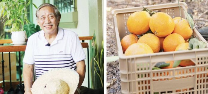 harvest Farmer Alfonso Namuje, Jr. is known as the “Father of Citrus” in Nueva Vizcaya.