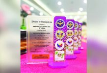 Iloilo Province a fiscal powerhouse in Region 6; Province dominates 2024 revenue, assessment performance — BLGF Plaques of recognition awarded by the Bureau of Local Government Finance (BLGF) to the Provincial Government of Iloilo, led by Provincial Treasurer Jean Maire Umadhay, for achieving the Highest Collection Efficiency in Four Locally-Sourced Revenues in Western Visayas for 2024. The recognition highlights Iloilo’s exemplary fiscal management and governance efficiency. PHOTO COURTESY OF BALITA HALIN SA KAPITOLYO