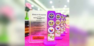 Plaques of recognition awarded by the Bureau of Local Government Finance (BLGF) to the Provincial Government of Iloilo, led by Provincial Treasurer Jean Maire Umadhay, for achieving the Highest Collection Efficiency in Four Locally-Sourced Revenues in Western Visayas for 2024. The recognition highlights Iloilo’s exemplary fiscal management and governance efficiency. PHOTO COURTESY OF BALITA HALIN SA KAPITOLYO