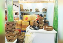 17.5K PH MSMEs eyed for AI advancement training About 17,500 micro, small and medium enterprises are targeted to be enrolled in the two-year AI (artificial intelligence) for MSME Advancement in ASEAN (AIM ASEAN) program starting November. They will be part of the 100,000 MSMEs that the ASEAN Foundation aims to help in coordination with the Asian Venture Philanthropy Network through the AI Opportunity Fund: Asia Pacific, and the Asian Development Bank. DTI REGION VI/FB PHOTO