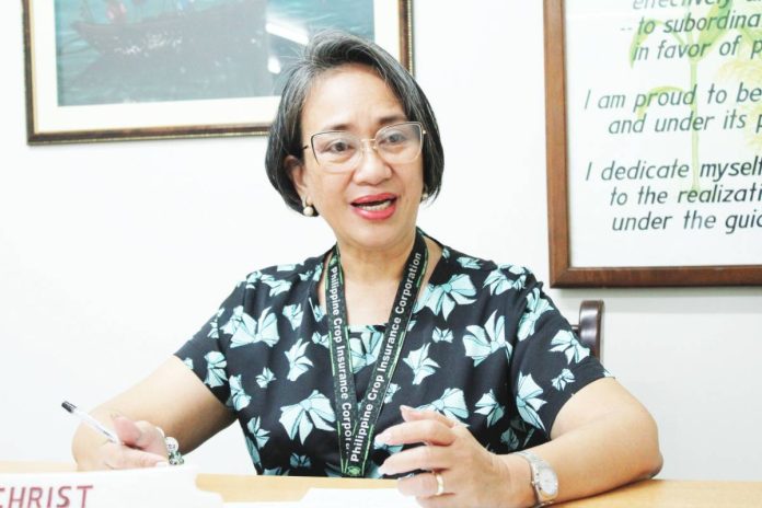 The Philippine Crop Insurance Corporation - Region 6 has already released over P306 million in indemnity claims from January to September 2025, cushioning massive typhoon losses in rice, corn, livestock, and fisheries, says Regional Manager Eva Ulie Laud. AJ PALCULLO/PN