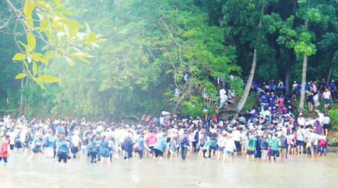 neljoy seedlings2 copy Thousands of volunteers wade across a stream leading to the Maasin Watershed to take part in the massive tree planting activity that marked the 25th Piyesta sa Kakahuyan. Around 1,600 participants from various sectors helped plant 5,000 native and endangered seedlings. PHOTO COURTESY OF BALITA HALIN SA KAPITOLYO