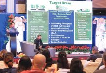 Gov. Arthur Defensor Jr. presents Iloilo’s reforestation targets during the “Stakeholders Summit Towards a Forest Province” on Oct. 6, 2025. The summit gathered local leaders, environmental advocates, and private sector representatives to discuss strategies for restoring Iloilo’s forest cover under the Tanum Iloilo for MoRProGRes program. PHOTO FROM BALITA HALIN SA KAPITOLYO