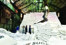 No sugar importation until mid 2026 — DA The Department of Agriculture and Sugar Regulatory Administration assured that no sugar importation is planned until the end of the current milling season, projected between May and June 2026. TED CORDERO/GMA INTEGRATED NEWS FILE PHOTO