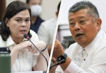 DUTERTE-CARPIO, REMULLA
