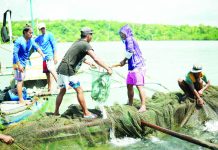 SEAFDEC/AQD, private sector partner to boost pompano farming SEAFDEC/AQD recently established a pompano hatchery at its main station in Tigbauan, Iloilo, with a total tank volume of 80 cubic meters. PHOTO BY JERIC MOTIN