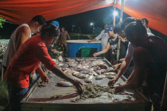 seafdec_resized_compressed A project led by SEAFDEC/AQD recently harvested 2.9 tons of tilapia and 167 kilograms of giant freshwater prawn in Barangay Nanga, Pototan, Iloilo. NYRA ARMADA PHOTO