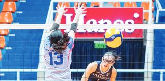 Adamson University Lady Falcons’ Shaina Nitura fires against the defense of Arellano University Lady Chiefs. PHOTO COURTESY OF V-LEAGUE