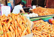 DA allows vegetable imports to ease price pressures The Department of Agriculture allowed the importation of “a few hundred tons” of carrots to assess the situation, as prices have surged. These can come from China and the Netherlands. PHOTO COURTESY OF DZRH