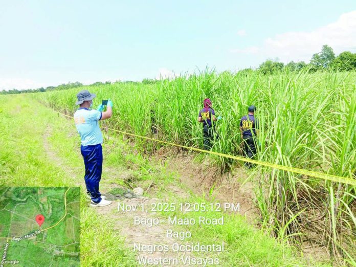 Bacolod_police_copy_resized_compressed The sugarcane field in Bago City where Kristine Dignadice’s body was allegedly dumped by the suspect. PRO-NIR PHOTO