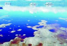 URC Bais Distillery lagoon undergoes repair Locals noticed water discoloration allegedly caused by an ethanol leak coming from a lagoon dike of a distillery. (MarGale Bancairen photo)