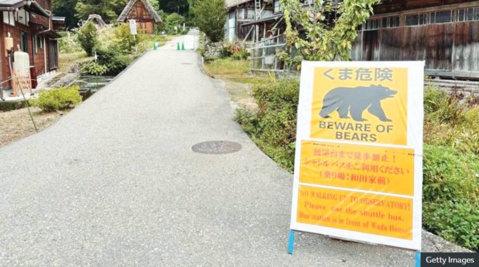Japan A yellow sign propped on a road reads: “Beware of bears”. In the background are traditional Japanese wooden houses. GETTY IMAGES