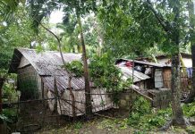 WV, NEGROS GET MAJOR CASH AID FOR RECOVERY Photo courtesy of Melissa Joy D Obiedo