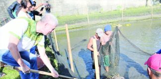 Negros Occidental Gov. Eugenio Jose Lacson joined the sisters of the Carmelite Monastery in witnessing the harvesting of catfish from the monastery’s sustainable fishpond project, part of the province’s ongoing livelihood and food security initiatives. NEGOCC PROV’L GOV’T FB PHOTO