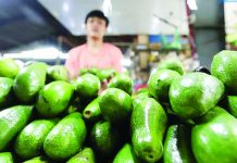 Philippines pushes greater agricultural trade with Turkiye The Department of Agriculture wants to promote niche fruits, including avocado, to the Turkish market. Photo shows a vendor arranging avocados at his stall in Quezon City. ANALY LABOR/DAILY TRIBUNE PHOTO