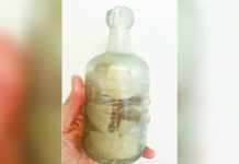 This old glass bottle contains a paper with a message written more than a hundred years ago. DEB BROWN VIA AP