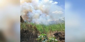 Open burning releases pollutants that are damaging to human health and the environment. ECOWASTE COALITION PHOTO