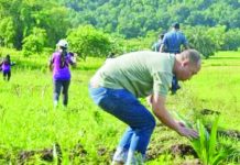 PCA to provide incentives to Antique coco farmers Philippine Coconut Authority (PCA) Division Chief I for Aklan-Antique provincial office Gregory Teñoso III plants a coconut seedling during a tree planting activity in San Remigio, Antique on Sept. 13, 2025. Teñoso said in an interview on Thursday, Nov. 27, that coconut farmers in the island municipality of Caluya will be provided incentives when they plant coconut seedlings under the Coconut Hybridization Program. Photo courtesy of PCA Antique
