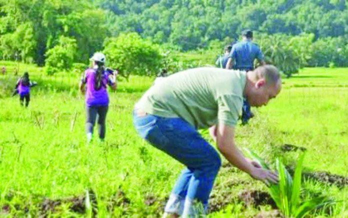 coco_farmers_resized_compressed Philippine Coconut Authority (PCA) Division Chief I for Aklan-Antique provincial office Gregory Teñoso III plants a coconut seedling during a tree planting activity in San Remigio, Antique on Sept. 13, 2025. Teñoso said in an interview on Thursday, Nov. 27, that coconut farmers in the island municipality of Caluya will be provided incentives when they plant coconut seedlings under the Coconut Hybridization Program. Photo courtesy of PCA Antique