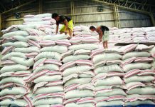DA asks Marcos to extend rice import ban until end of 2025 The Department of Agriculture is seeking to extend the rice import ban for an additional 30 to 60 days. The earlier import ban, which took effect in September, expired on October 31, 2025. (GMA NEWS FILE PHOTO)
