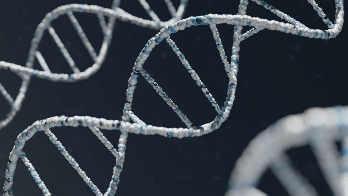 dna-warren-umoh--qycBqByWIY-unsplash Photo courtesy of Warren Umoh. Unsplash