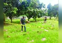 Gamefowl breeder killed in Calatrava shooting Gamefowl breeder alias “Max” was shot dead inside his cock farm in Barangay Marcelo, Calatrava, Negros Occidental on Nov. 11. PRO-NIR PHOTO