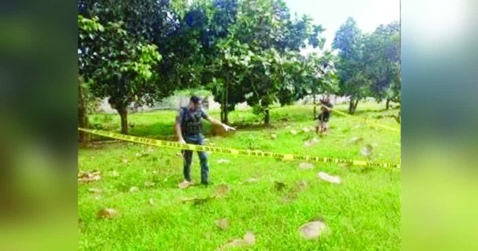 Gamefowl breeder alias “Max” was shot dead inside his cock farm in Barangay Marcelo, Calatrava, Negros Occidental on Nov. 11. PRO-NIR PHOTO
