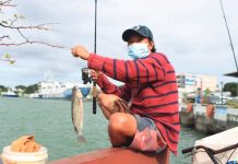 3-month Iloilo River fishing moratorium to protect spawning grounds set An angler shows his fresh catch from the Iloilo River — a scene that will soon pause as the Iloilo City Government enforces a three-month fishing ban beginning December 1, 2025 to protect key spawning grounds and help the river’s fish population recover. FILE PHOTO FROM JERRY TREÑAS FACEBOOK PAGE