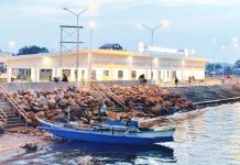 Ahead of possible 2-meter high storm surges, Iloilo coastal townsfolk urged to move inland A fishing boat is seen berthed at the fish port of Concepcion, Iloilo, in this file photo. Authorities in Iloilo Province have ordered preemptive evacuations in several coastal towns ahead of Typhoon Tino. Built to withstand future calamities, the Concepcion fish port aims to boost the economic recovery of communities in northern Iloilo, many of whom grappled with the aftermath of Super Typhoon Yolanda which hit the province on November 8, 2013.