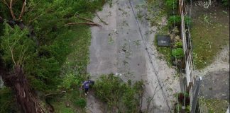 Aftermath of Typhoon “Tino” in Pontevedra, Negros Occidental, showing fallen trees that crushed electric lines and blocked roads, contributing to the ongoing power outage. ANDREW ADVINCULA FB PHOTO