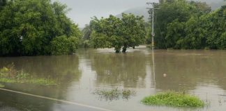 Photo courtesy of the Province of Antique