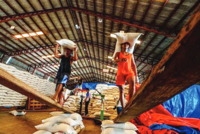 The Philippines has more than enough locally-produced palay for the consumption needs of Filipinos, the Department of Agriculture said on Monday, Nov. 3, 2025. ABS-CBN NEWS PHOTO