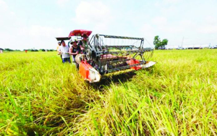 rice_seed_program_resized_compressed The P1.66-billion fund for the government’s Rice Seed Program will cover the purchase, delivery and distribution of inbred-certified seeds for the 2026 dry season, as well as vehicles and farm machinery to improve the efficiency of production support services. DA PHOTO