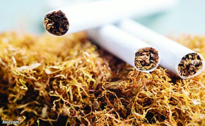 tobacco puro SANTA CRUZ