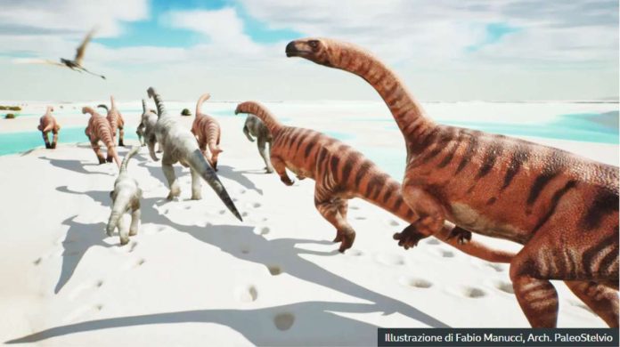 Italy1 Artist's rendition of a herd of prosauropods walking across a muddy plain during low tide. Smaller footprints suggest the herd also included young specimens. ILLUSTRAZIONE DI FABIO MANUCCI, ARCH. PALEOSTELVIO