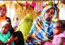 In Sudan, many of those displaced by the violence in el-Fasher have ended up living in camps.