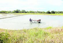 Banks ramped up agri lending as of Q3 A farmer uses a hand tractor to prepare a rice paddy for planting palay in Pulilan, Bulacan. GRIG C. MONTEGRANDE PHOTO/INQUIRER.NET