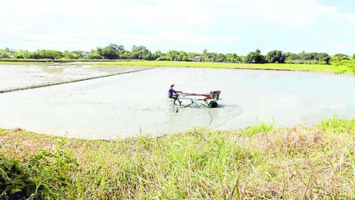 agri_lending_resized_compressed A farmer uses a hand tractor to prepare a rice paddy for planting palay in Pulilan, Bulacan. GRIG C. MONTEGRANDE PHOTO/INQUIRER.NET
