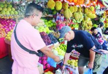 HOPES AMID CHALLENGES: Ilonggo fruit vendors struggle to earn profit this holiday season “If we can’t sell everything, it’s no big deal. We keep pushing until the last fruit is sold, and if we need to, we give away the leftovers,” says Rogelio Lancita Jr. (left) from Barangay San Isidro, Jaro, Iloilo City. Lancita has been selling fruits for over 15 years. AJ PALCULLO/PN