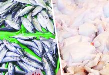DA: ‘Galunggong’ prices too high? Buy chicken instead The Department of Agriculture said the spike in prices for galunggong is due to lack of supply. It advised the public to just buy chicken instead. ABS-CBN NEWS / PNA PHOTOS