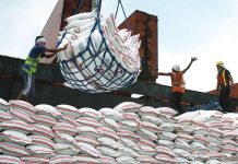 MSRP for imported rice still at P43 per kilo — DA Workers unload sacks of rice imported from Thailand at Harbor Center in Tondo, Manila. DANNY PATA/FILE PHOTO