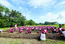 7,000 TUPAD workers mobilize for citywide clean-up drive in Iloilo Some beneficiaries of Tulong Panghanapbuhay sa Ating Disadvantaged Workers (TUPAD) program joined the citywide clean-up drive through communal gardening in Iloilo City. DOLE-WV PHOTO