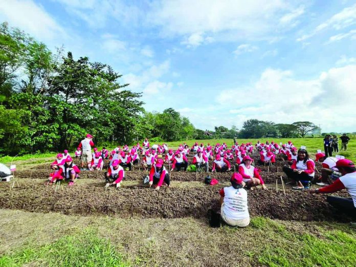 Some beneficiaries of Tulong Panghanapbuhay sa Ating Disadvantaged Workers (TUPAD) program joined the citywide clean-up drive through communal gardening in Iloilo City. DOLE-WV PHOTO